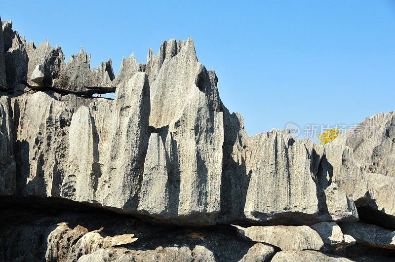 马达加斯加的Tsingy de Bemaraha